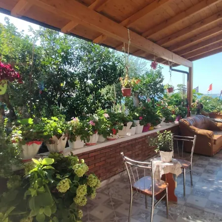 Dhoma Plazhi Mirjan *