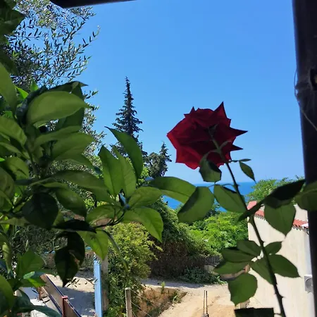 Dhoma Plazhi Mirjan Vlore