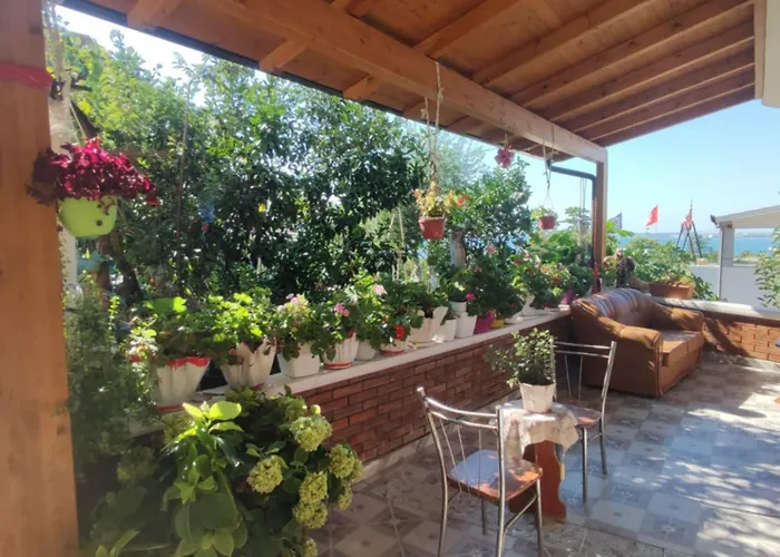 Dhoma Plazhi Mirjan *